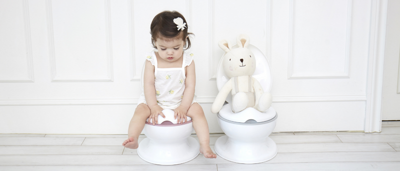 when to begin potty training - adertek baby & kids