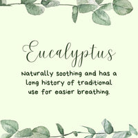 Euky Bear Sniffly Nose Room Spray Main Ingredients - Eucalyptus